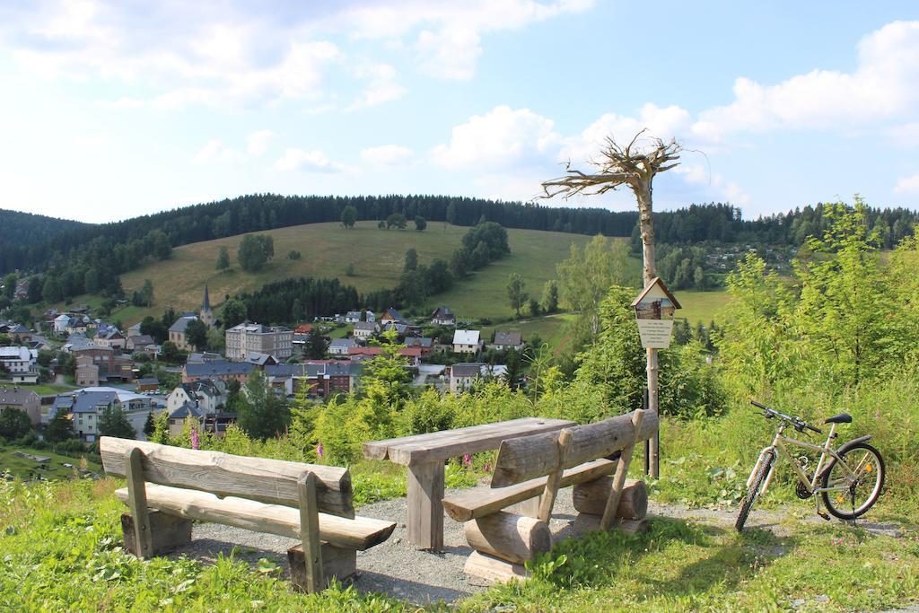 Landhotel Gasthof Zwota Klingenthal Dış mekan fotoğraf